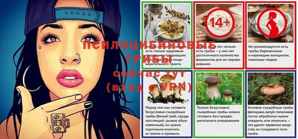 дурь Волосово