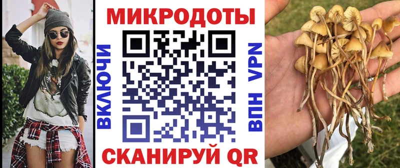 Псилоцибиновые грибы Magic Shrooms  Первомайск 